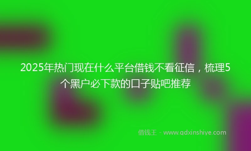 2025年热门现在什么平台借钱不看征信，梳理5个黑户必下款的口子贴吧推荐