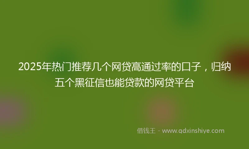 2025年热门推荐几个网贷高通过率的口子，归纳五个黑征信也能贷款的网贷平台