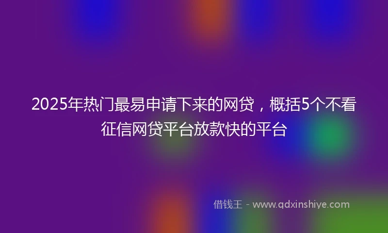 2025年热门最易申请下来的网贷，概括5个不看征信网贷平台放款快的平台