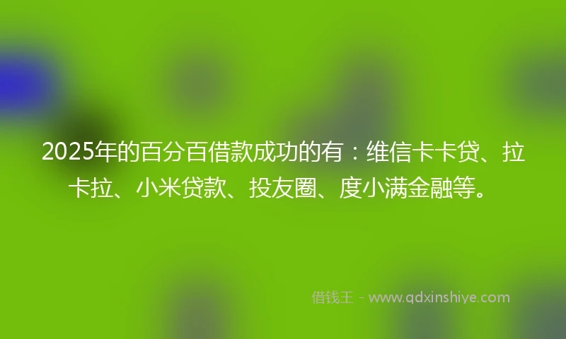 2025年的百分百借款成功的有:维信卡卡贷、拉卡拉、小米贷款、投友圈、度小满金融等。