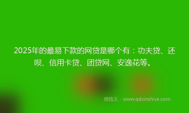 2025年的最易下款的网贷是哪个有：功夫贷、还呗、信用卡贷、团贷网、安逸花等。