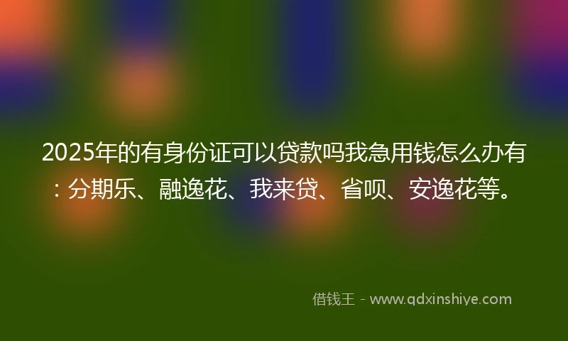 2025年的有身份证可以贷款吗我急用钱怎么办有：分期乐、融逸花、我来贷、省呗、安逸花等。