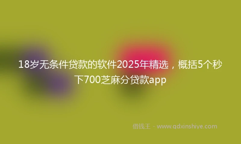 18岁无条件贷款的软件2025年精选，概括5个秒下700芝麻分贷款app