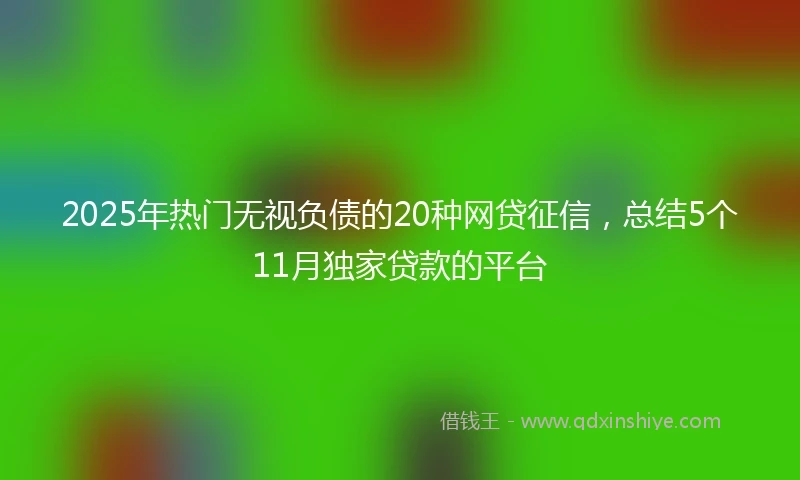 2025年热门无视负债的20种网贷征信，总结5个11月独家贷款的平台
