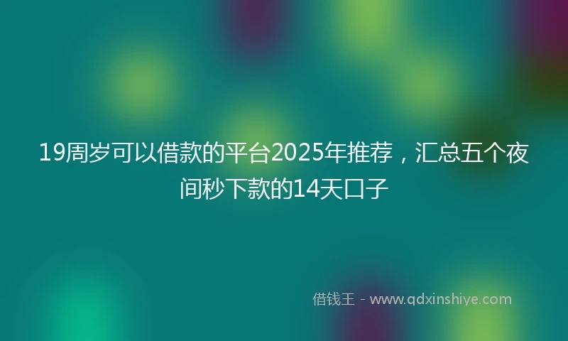 19周岁可以借款的平台2025年推荐，汇总五个夜间秒下款的14天口子