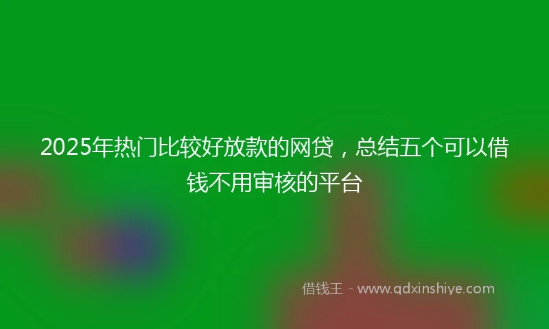 2025年热门比较好放款的网贷，总结五个可以借钱不用审核的平台