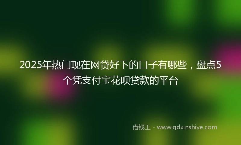 2025年热门现在网贷好下的口子有哪些,盘点5个凭支付宝花呗贷款的平台