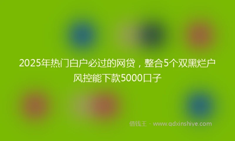2025年热门白户必过的网贷，整合5个双黑烂户风控能下款5000口子