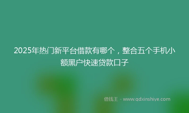 2025年热门新平台借款有哪个，整合五个手机小额黑户快速贷款口子