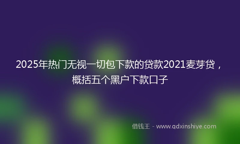 2025年热门无视一切包下款的贷款2021麦芽贷，概括五个黑户下款口子