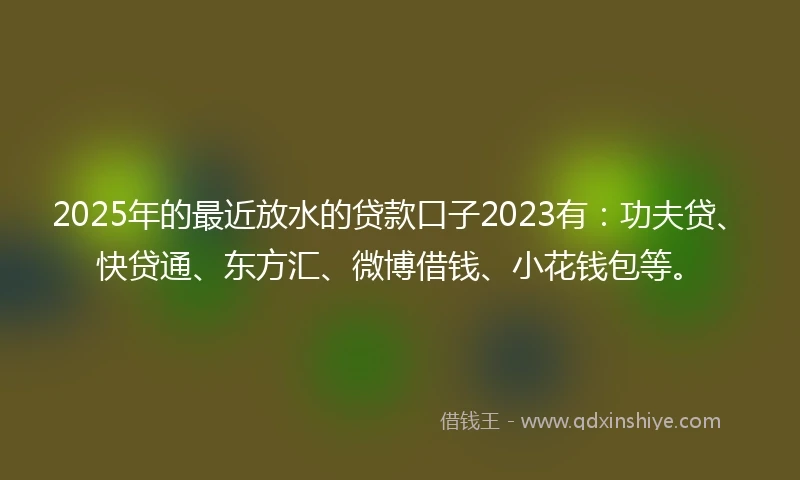 2025年的最近放水的贷款口子2023有：功夫贷、快贷通、东方汇、微博借钱、小花钱包等。