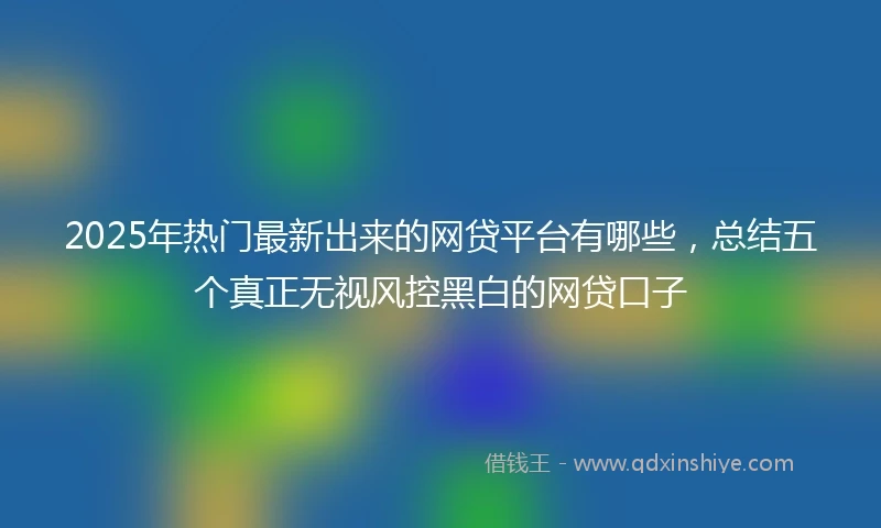 2025年热门最新出来的网贷平台有哪些，总结五个真正无视风控黑白的网贷口子