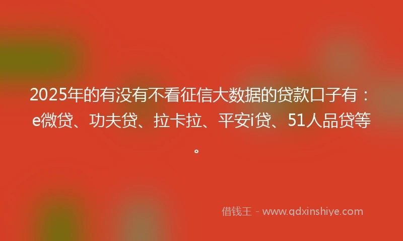 2025年的有没有不看征信大数据的贷款口子有：e微贷、功夫贷、拉卡拉、平安i贷、51人品贷等。