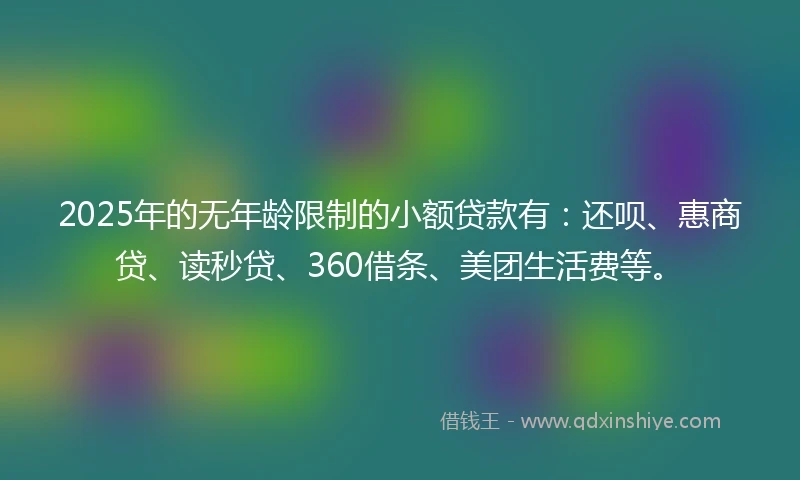 2025年的无年龄限制的小额贷款有：还呗、惠商贷、读秒贷、360借条、美团生活费等。