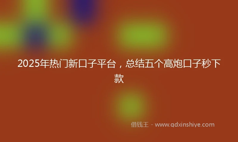 2025年热门新口子平台，总结五个高炮口子秒下款