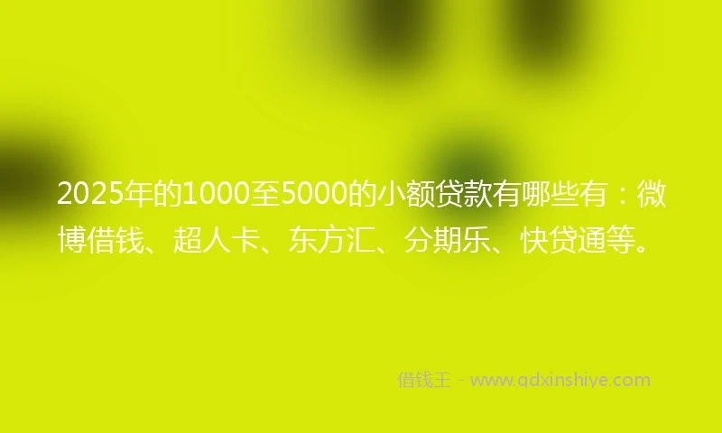 2025年的1000至5000的小额贷款有哪些有：微博借钱、超人卡、东方汇、分期乐、快贷通等。