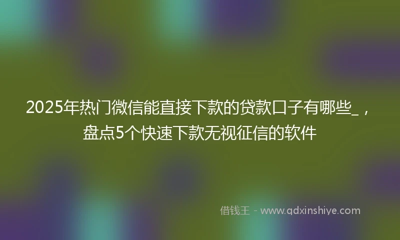 2025年热门微信能直接下款的贷款口子有哪些_，盘点5个快速下款无视征信的软件
