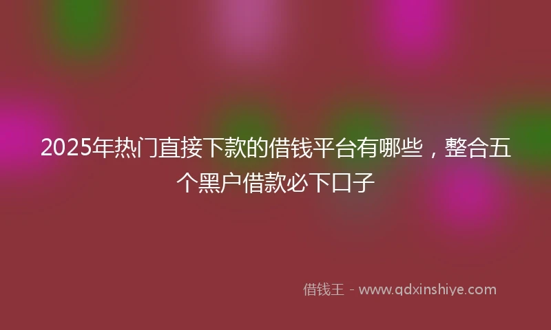 2025年热门直接下款的借钱平台有哪些，整合五个黑户借款必下口子