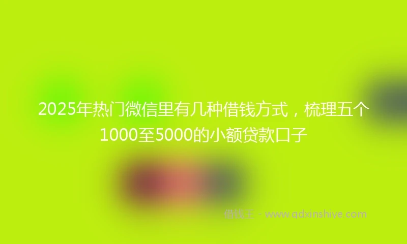 2025年热门微信里有几种借钱方式，梳理五个1000至5000的小额贷款口子