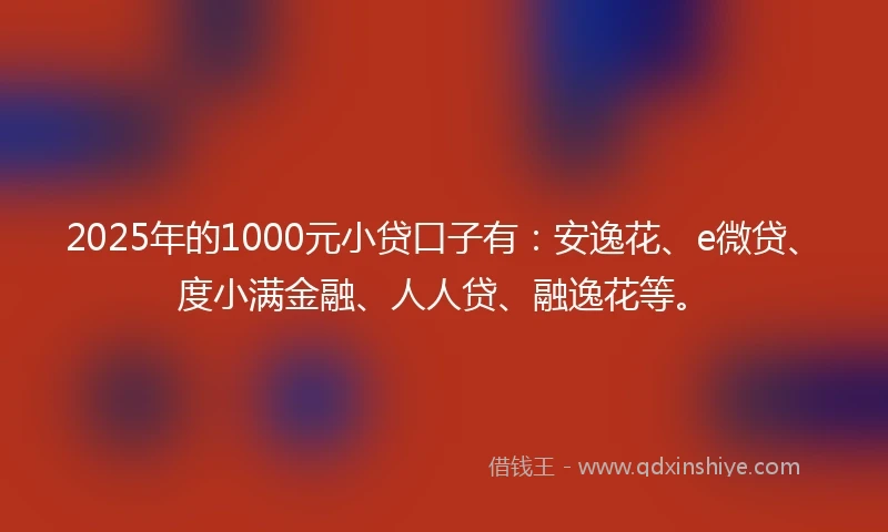 2025年的1000元小贷口子有：安逸花、e微贷、度小满金融、人人贷、融逸花等。