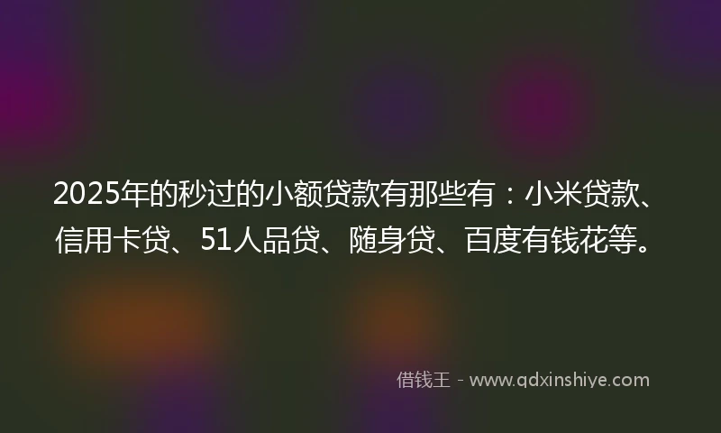 2025年的秒过的小额贷款有那些有：小米贷款、信用卡贷、51人品贷、随身贷、百度有钱花等。