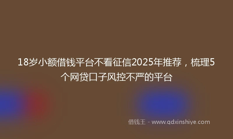 18岁小额借钱平台不看征信2025年推荐，梳理5个网贷口子风控不严的平台
