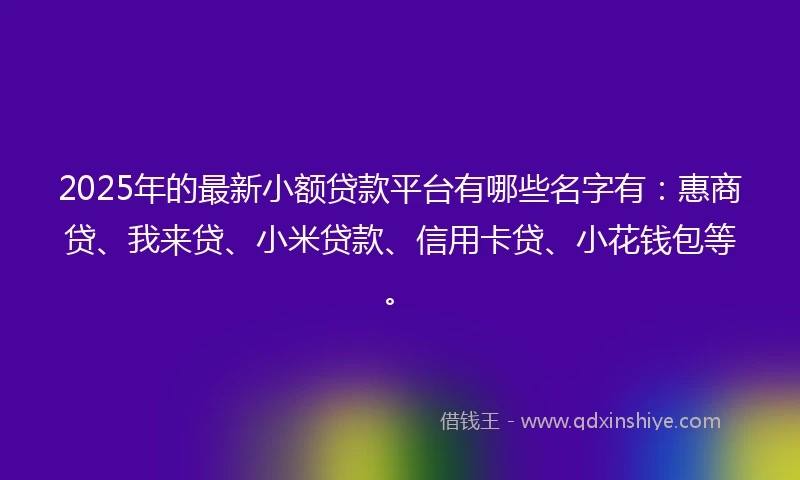 2025年的最新小额贷款平台有哪些名字有：惠商贷、我来贷、小米贷款、信用卡贷、小花钱包等。