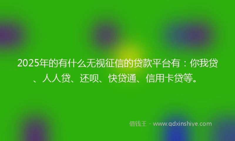 2025年的有什么无视征信的贷款平台有：你我贷、人人贷、还呗、快贷通、信用卡贷等。