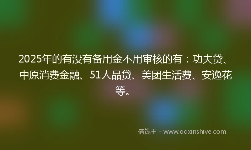 2025年的有没有备用金不用审核的有：功夫贷、中原消费金融、51人品贷、美团生活费、安逸花等。
