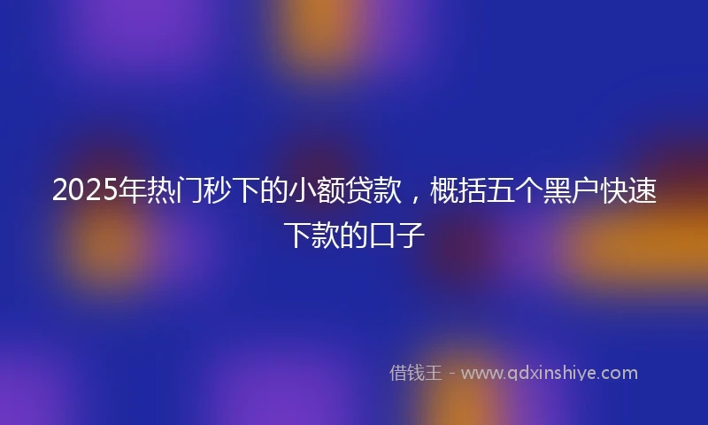 2025年热门秒下的小额贷款，概括五个黑户快速下款的口子