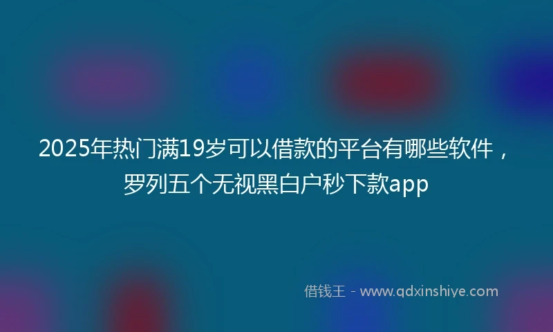 2025年热门满19岁可以借款的平台有哪些软件,罗列五个无视黑白户秒下款app