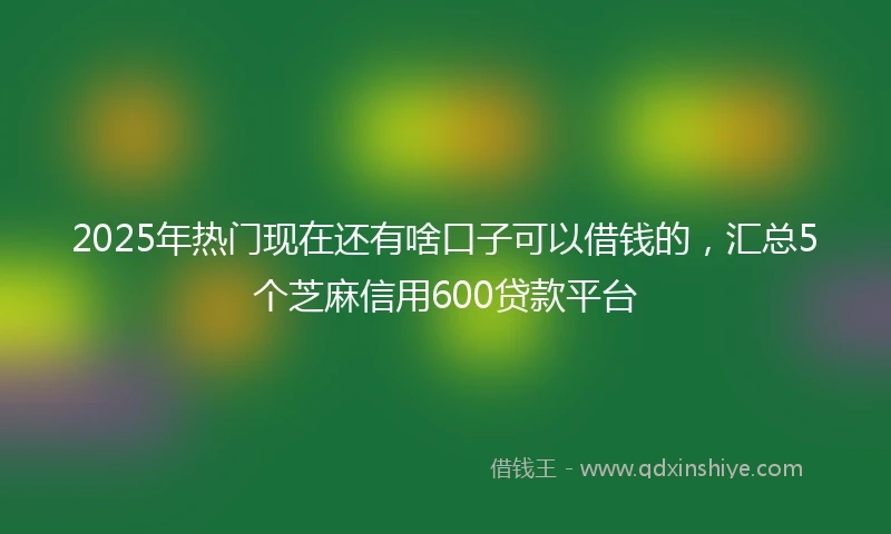 2025年热门现在还有啥口子可以借钱的，汇总5个芝麻信用600贷款平台