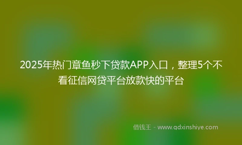 2025年热门章鱼秒下贷款APP入口，整理5个不看征信网贷平台放款快的平台