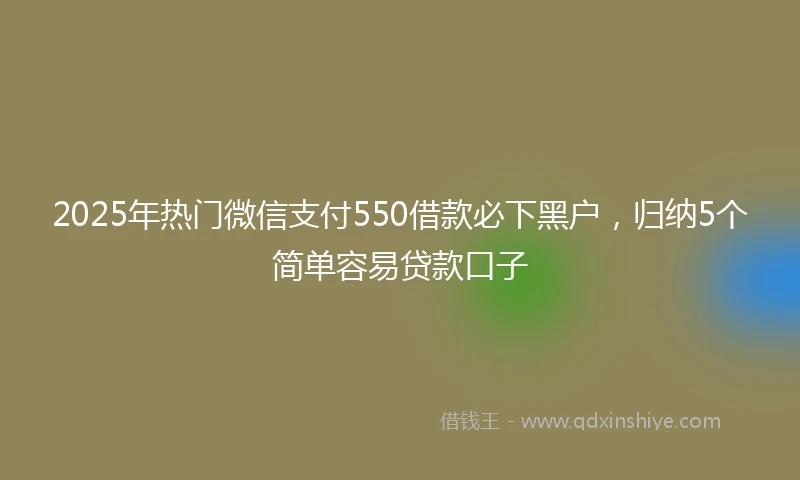 2025年热门微信支付550借款必下黑户，归纳5个简单容易贷款口子