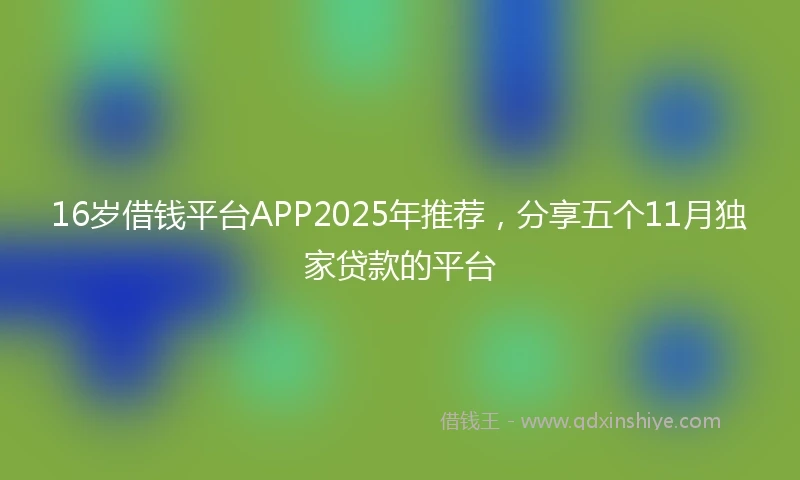 16岁借钱平台APP2025年推荐，分享五个11月独家贷款的平台
