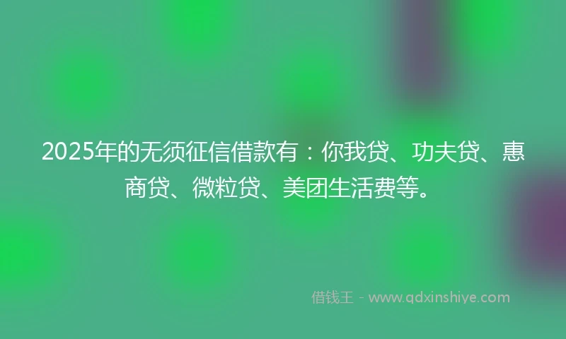 2025年的无须征信借款有：你我贷、功夫贷、惠商贷、微粒贷、美团生活费等。
