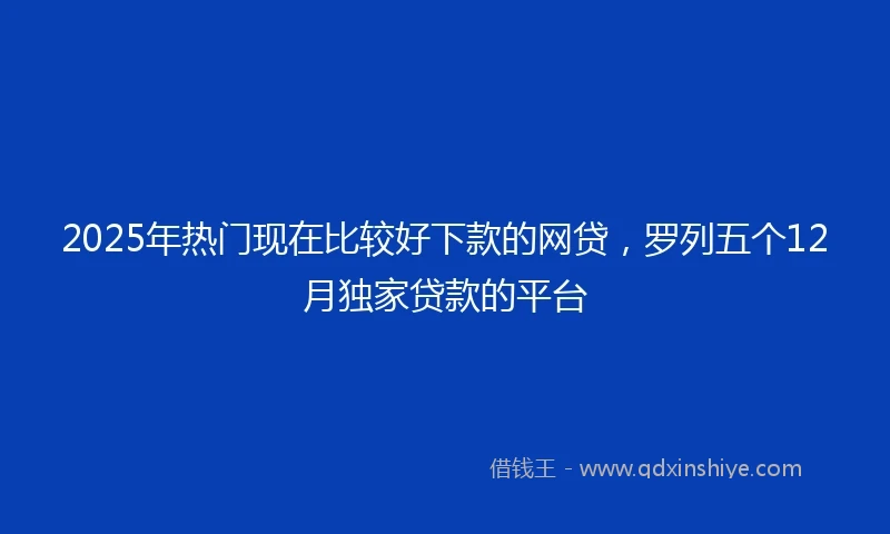 2025年热门现在比较好下款的网贷，罗列五个12月独家贷款的平台
