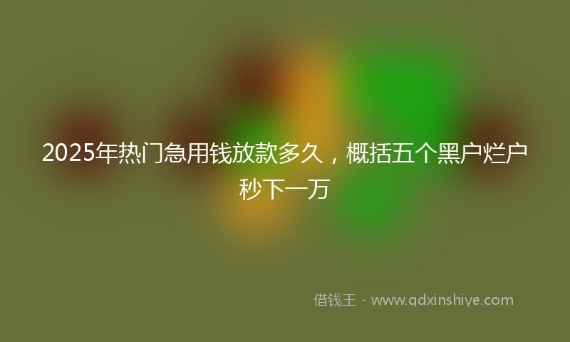 2025年热门急用钱放款多久，概括五个黑户烂户秒下一万