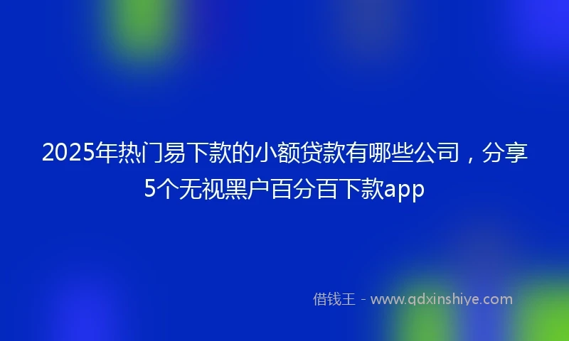 2025年热门易下款的小额贷款有哪些公司，分享5个无视黑户百分百下款app