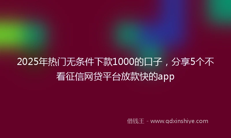 2025年热门无条件下款1000的口子，分享5个不看征信网贷平台放款快的app