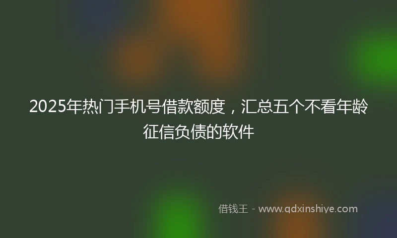 2025年热门手机号借款额度，汇总五个不看年龄征信负债的软件