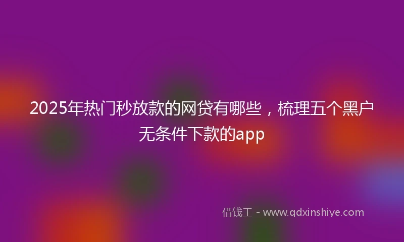 2025年热门秒放款的网贷有哪些，梳理五个黑户无条件下款的app
