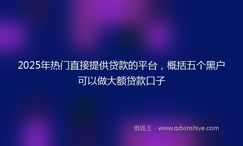 2025年热门直接提供贷款的平台，概括五个黑户可以做大额贷款口子