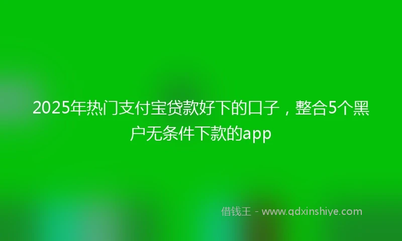2025年热门支付宝贷款好下的口子，整合5个黑户无条件下款的app