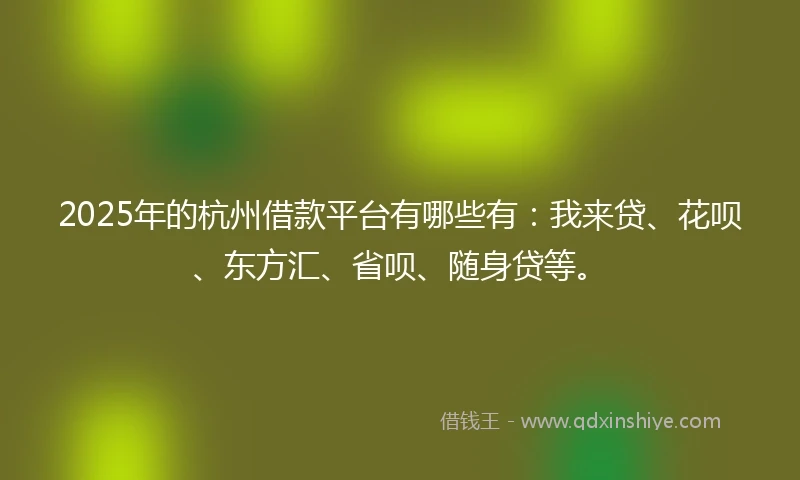 2025年的杭州借款平台有哪些有：我来贷、花呗、东方汇、省呗、随身贷等。