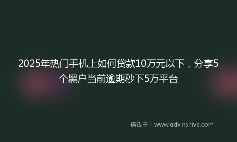 2025年热门手机上如何贷款10万元以下，分享5个黑户当前逾期秒下5万平台