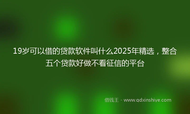 19岁可以借的贷款软件叫什么2025年精选，整合五个贷款好做不看征信的平台