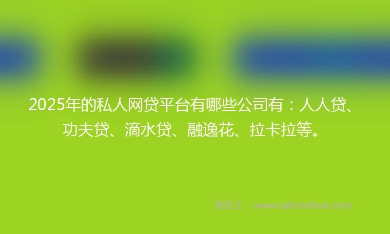 2025年的私人网贷平台有哪些公司有：人人贷、功夫贷、滴水贷、融逸花、拉卡拉等。