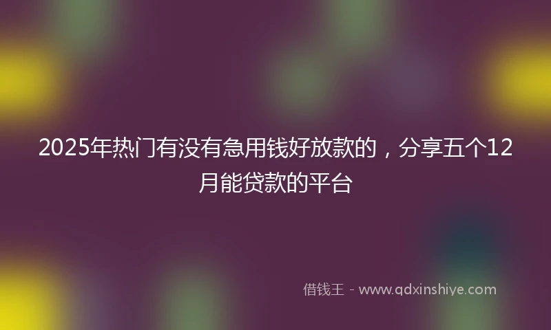 2025年热门有没有急用钱好放款的，分享五个12月能贷款的平台