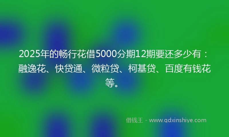 2025年的畅行花借5000分期12期要还多少有：融逸花、快贷通、微粒贷、柯基贷、百度有钱花等。